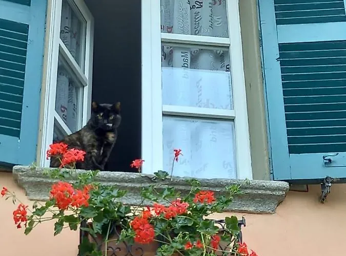 B&B Isoladelsole 페를레도